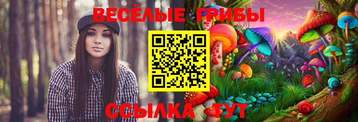 Нерюнгри  Псилоцибиновые грибы мицелий  Вход с VPN 