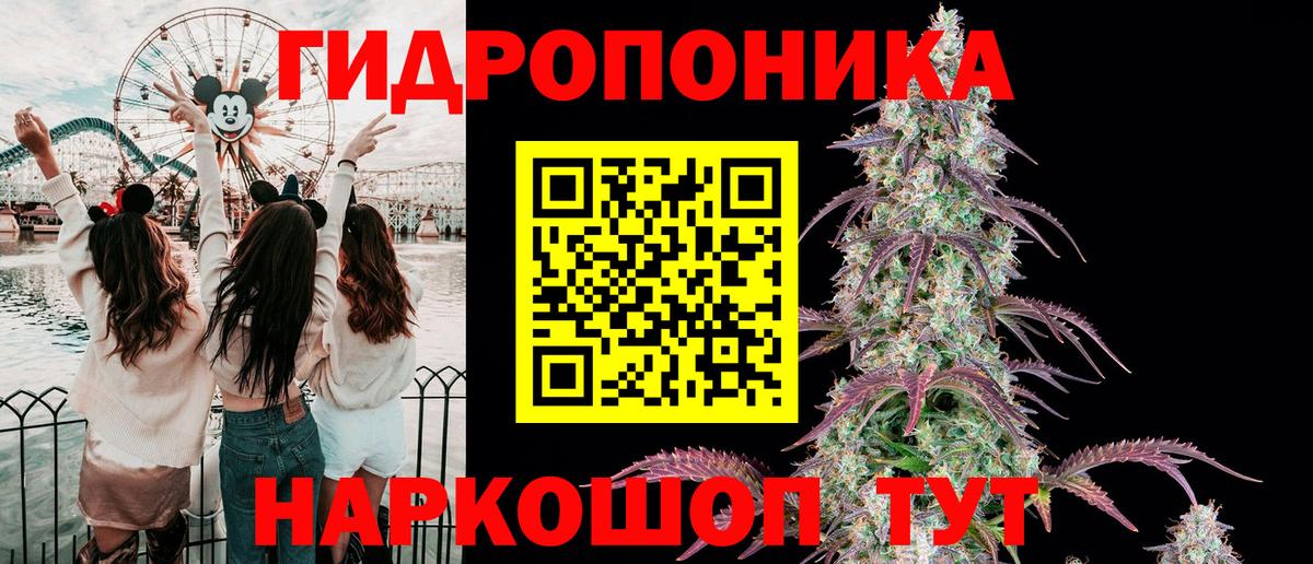 Конопля SATIVA & INDICA  Вход с VPN  Каннабис конопля  Нерюнгри  МАРИХУАНА сатива  Бошки Шишки Ganja 